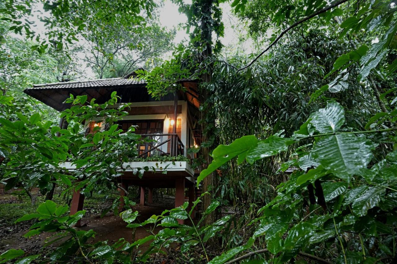 Coffee Acres Resort Kalpetta Exterior foto