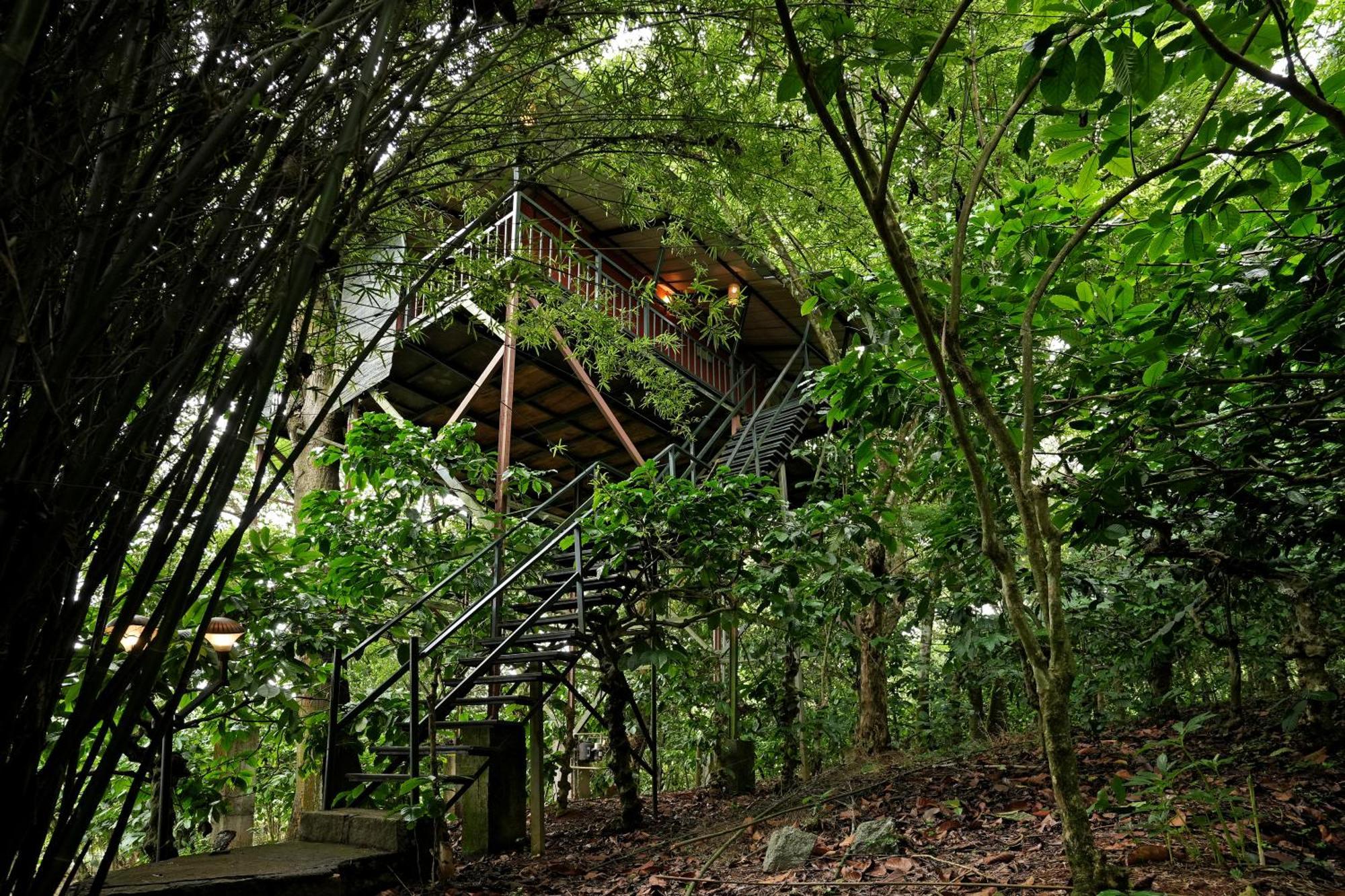 Coffee Acres Resort Kalpetta Exterior foto