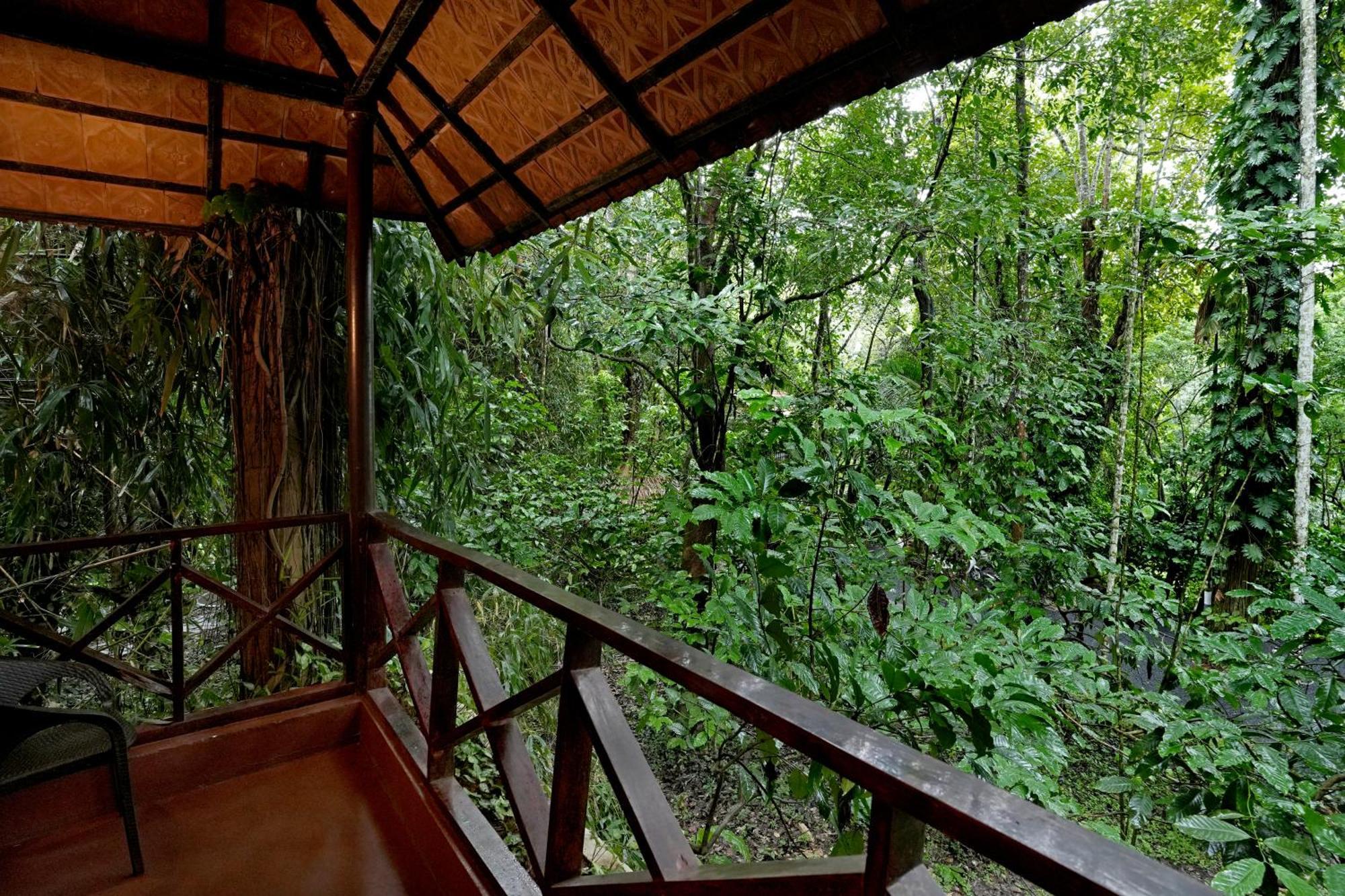 Coffee Acres Resort Kalpetta Exterior foto