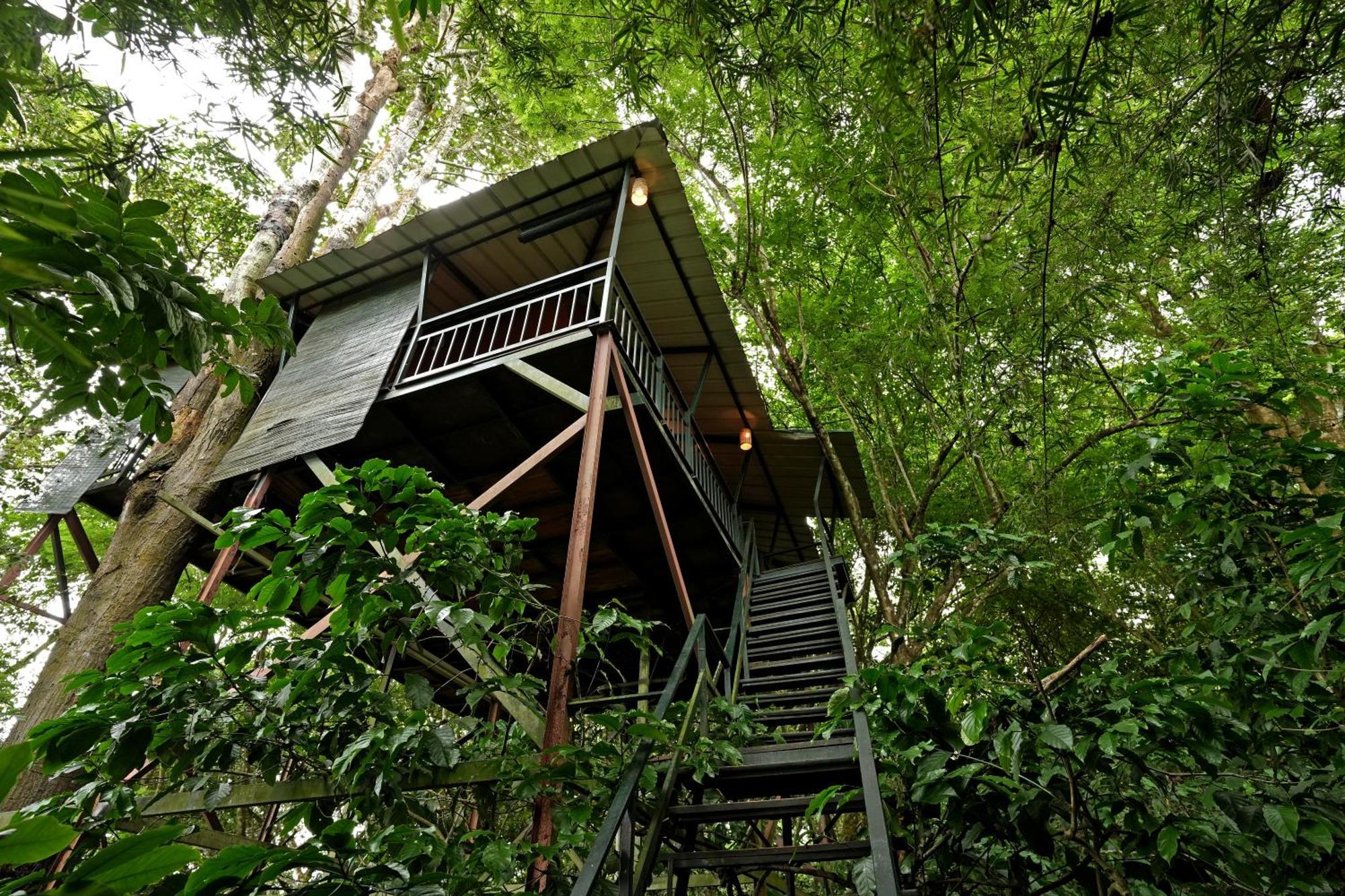 Coffee Acres Resort Kalpetta Exterior foto